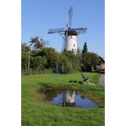 Wemeldinge - Molen De Hoop 02