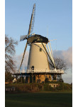 Soest - De Windhond 01