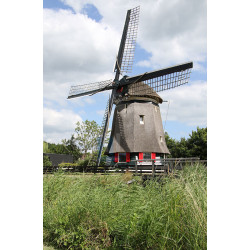 Edam - Zuidpoldermolen 02